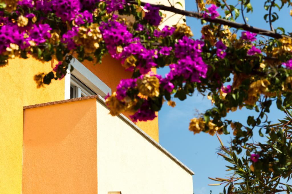 Apartments Villa Orange Zadar Eksteriør billede